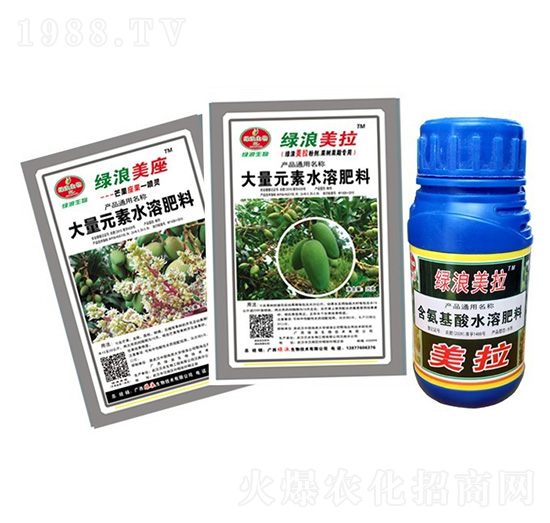 �G��â����ˎ�M��-�G������