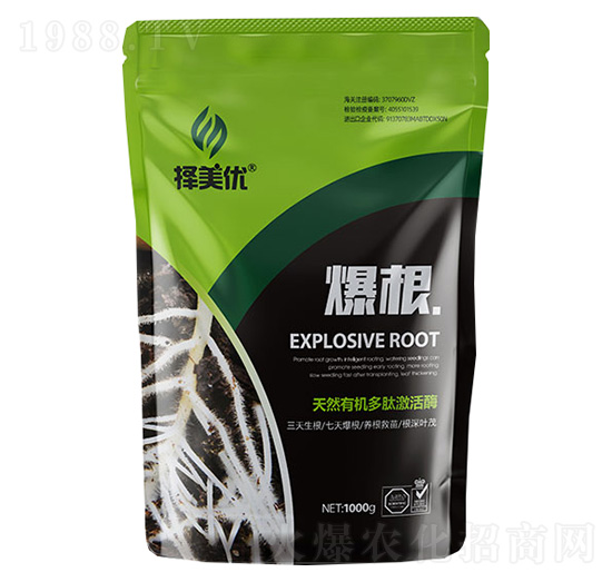 ��ֲ��ˮ�ܷ���-����-������(y��u)-Ӣ��