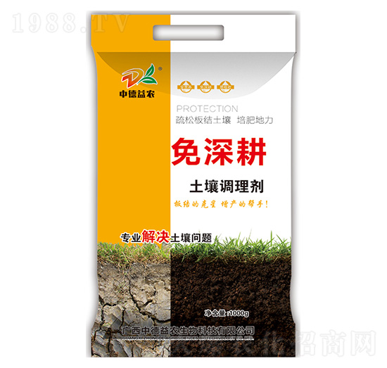 �����{�턩-�����-�е����r