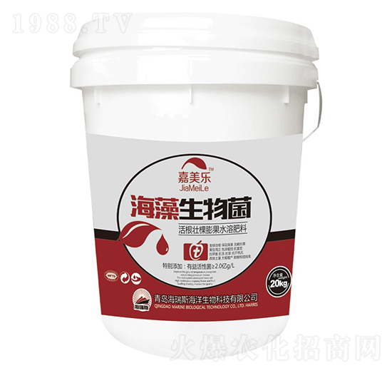 ���������-������-����˹