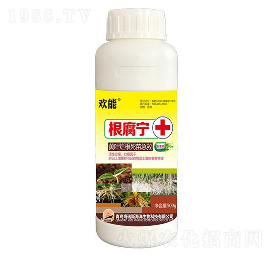 500g�g�ܡ�������+�S�~�������缱��-����˹