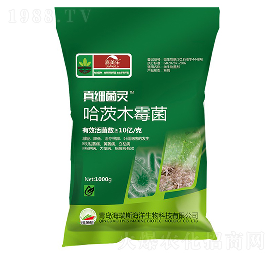 ����ľù��-�漚(x��)���`-������-����˹