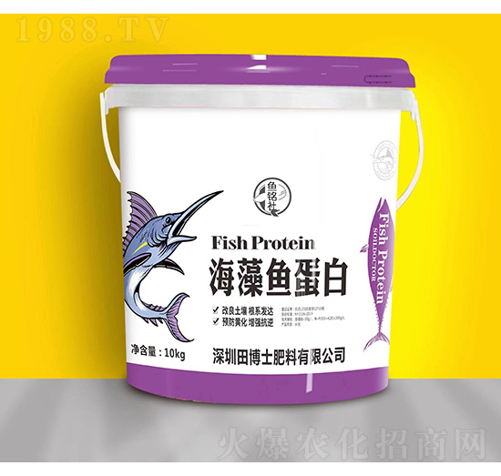 �����~(y��)����-�~(y��)���-�ﲩʿ