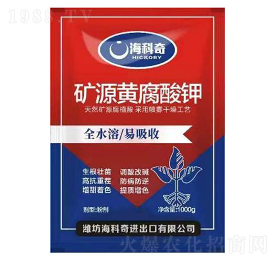 �VԴ�S�����-������