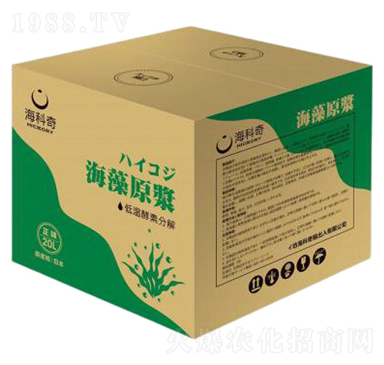 ����ԭ�{-������