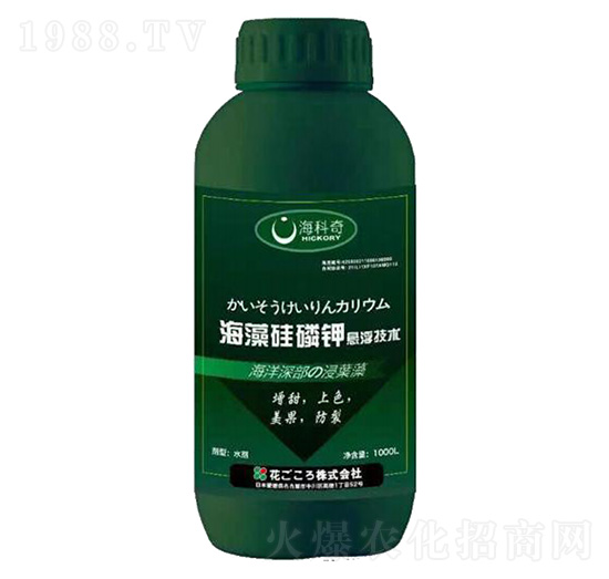 ��������-������