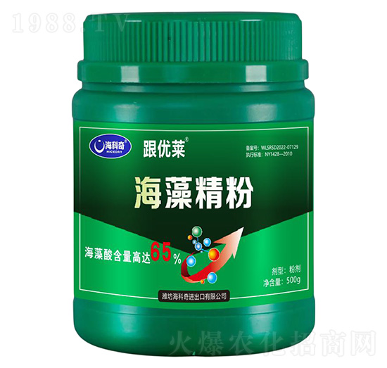 ���徫��-����(y��u)�R-������