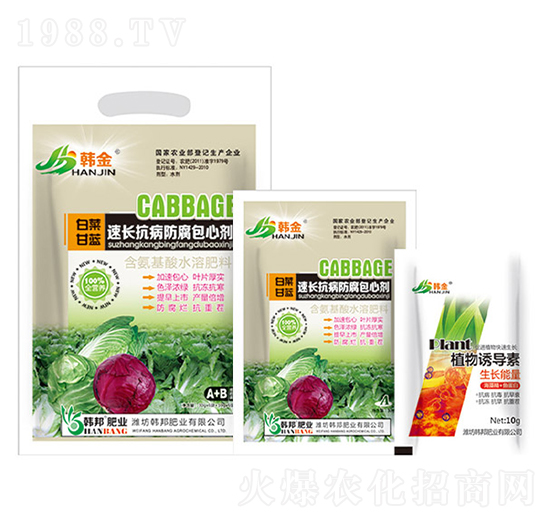白菜甘藍速長抗病防腐包心劑-韓金-韓邦肥業(yè)