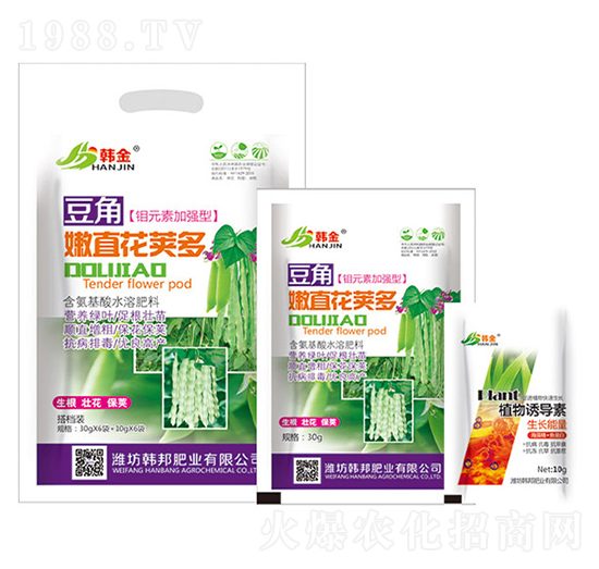 鉬元素加強型豆角嫩直花莢多-韓金-韓邦肥業(yè)