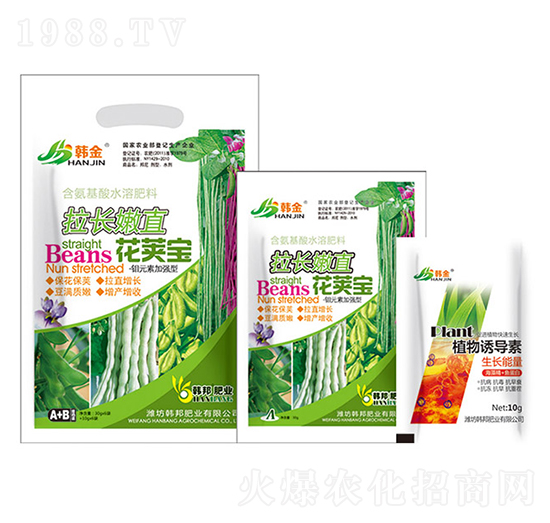 拉長(zhǎng)嫩直花莢寶-韓金-韓邦肥業(yè)