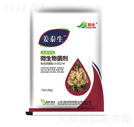生姜專用微生物菌劑-姜泰生-韓金-韓邦肥業(yè)