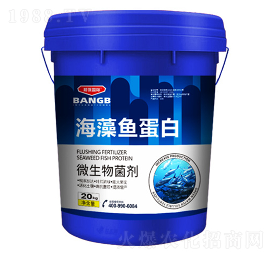 �����~(y��)����-���(gu��)�H