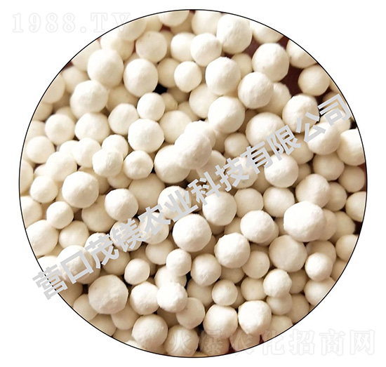 �}�V�F�\���w��-ï�V�r�I(y��)