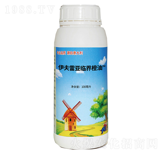 �����ׁ��R�����-���_�ٚW