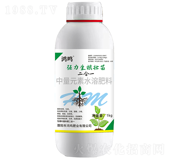 �����������磨����һ��-���Q