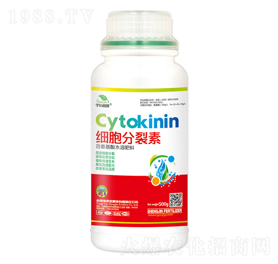 ��(x��)��������-��|ֲ��-ʥ��ʘI(y��)