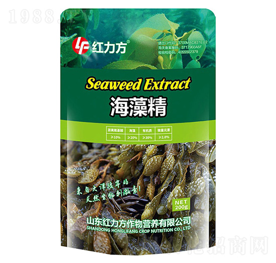 ���徫-�t����