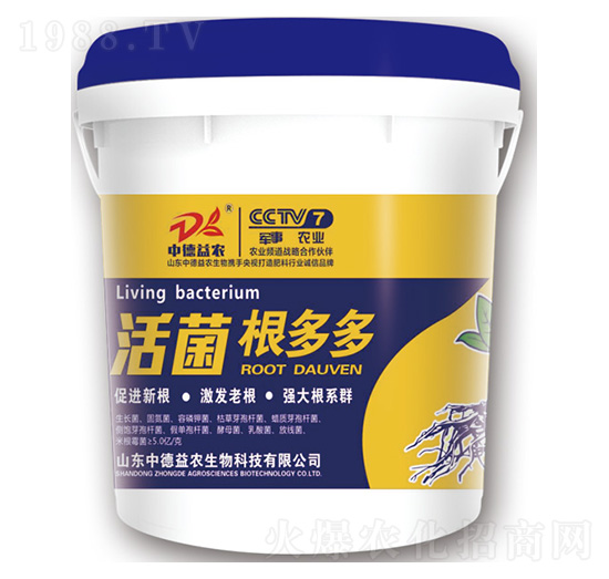 ��������-�е����r(n��ng)