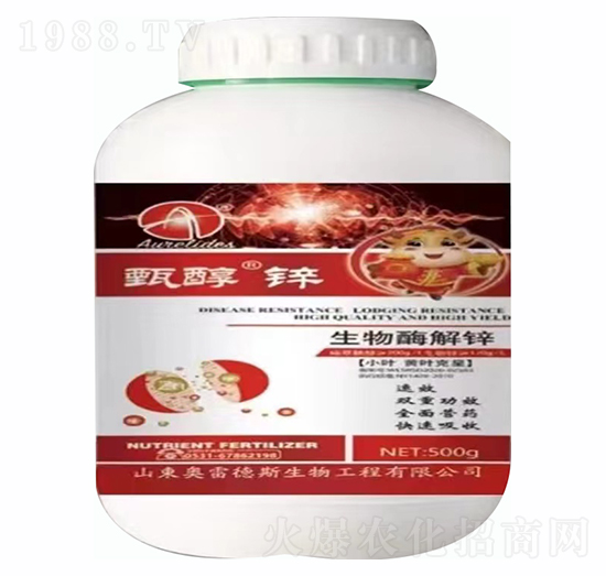 �紼�\-�W�׵�˹