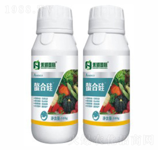 ���Ϲ�Si-�̷f����