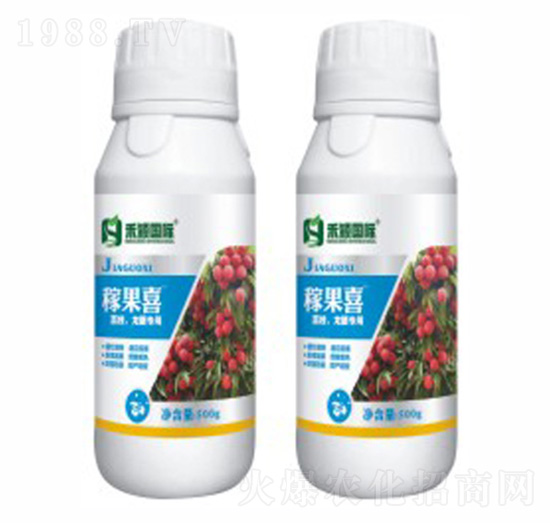 ��֦�����ی���-�ڹ�ϲ-�̷f����