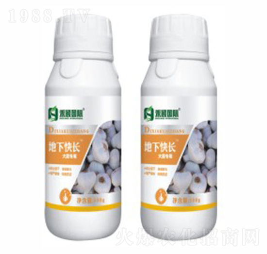 �����[���������~���-���¿��L-�̷f����