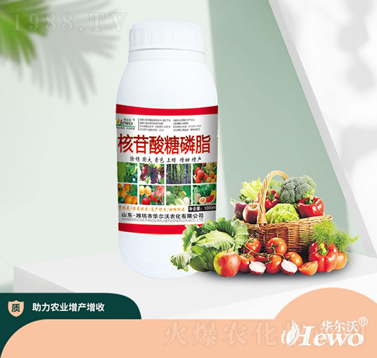 ����������֬-�A����