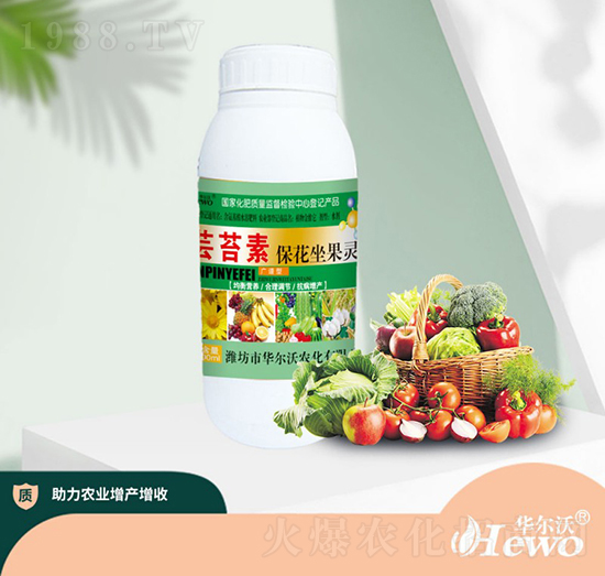 �|̦�ر��������`-�A����