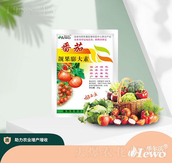 �����n�������-�A����