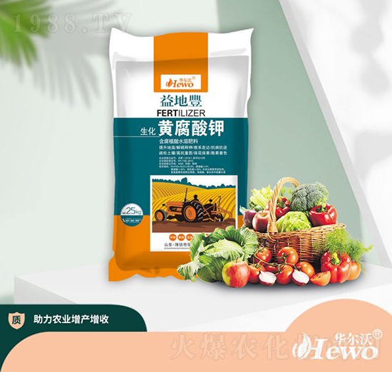 �����S�����-�A����