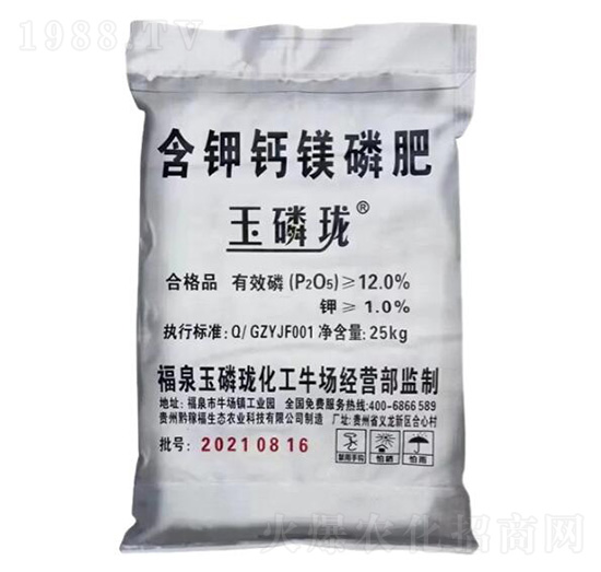 ����}�V��-�ѷ�Ԫ