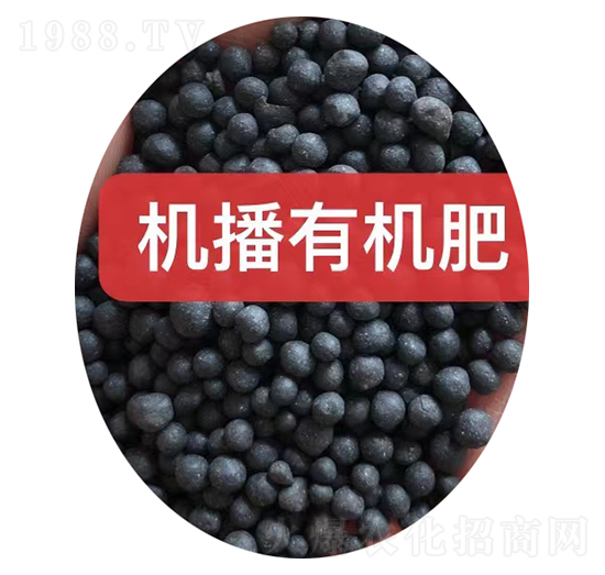 �C(j��)���ЙC(j��)���w��-���r(n��ng)�r(n��ng)�Y