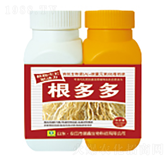 ������~���-��������