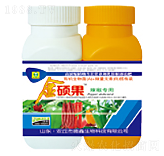 ���������~���-��T��-��������