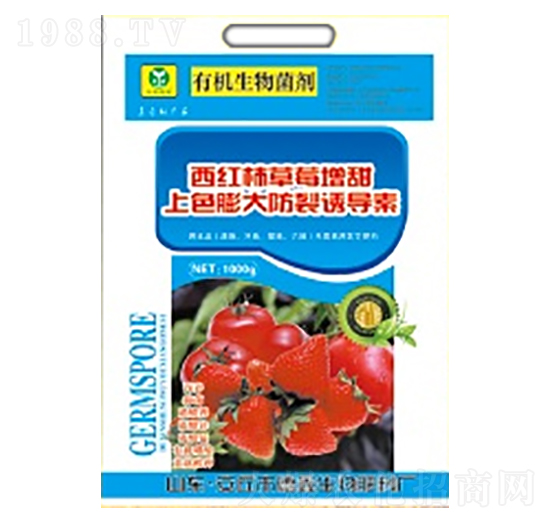 ���t����ݮ������ɫ�������T��(d��o)��-��������