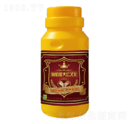 ����������~���-��������