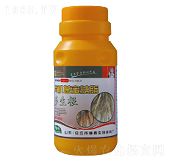 �ЙC(j��)������֬-������-��������