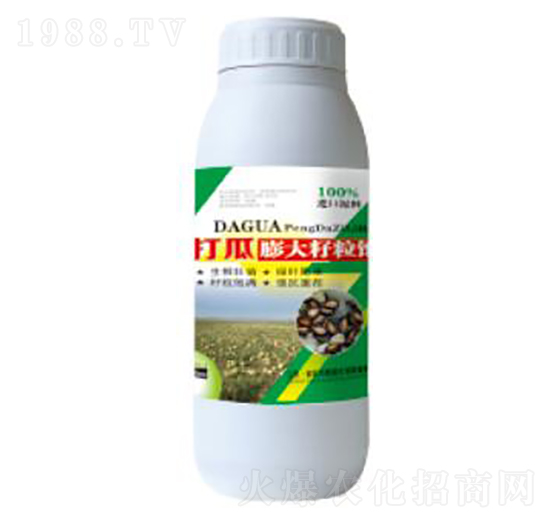 打瓜膨大籽粒-德鑫生物