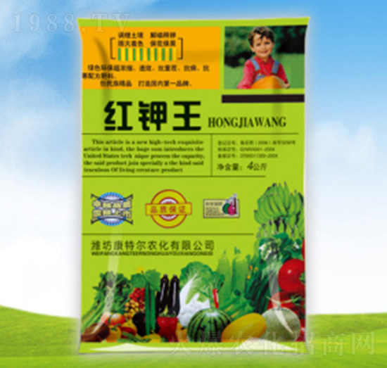 �t���-���ؠ��r��