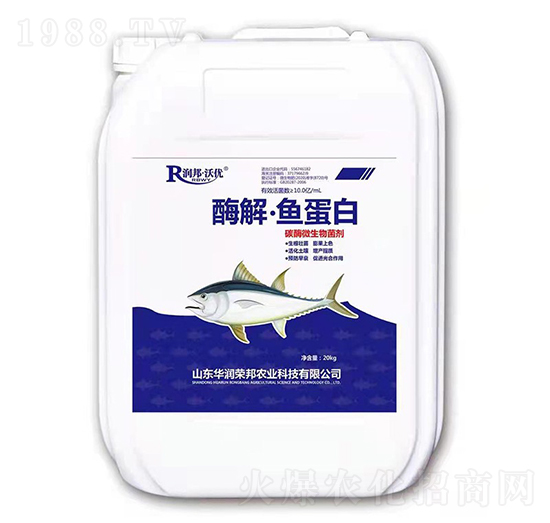 ø�⡤�~(y��)����-��(r��n)��փ�(y��u)-�A��(r��n)�s��