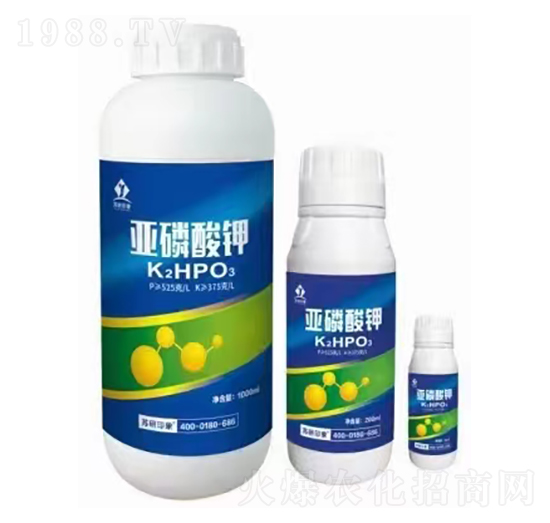 �������-�K��ӡ��