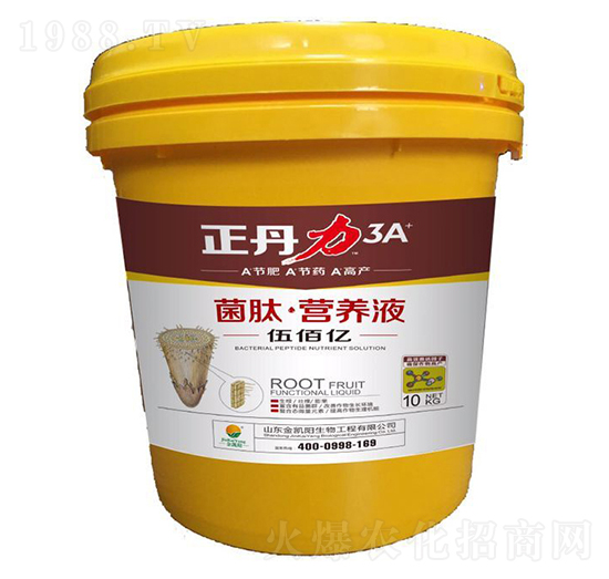 ���ġ��I(y��ng)�B(y��ng)Һ-������-���P�