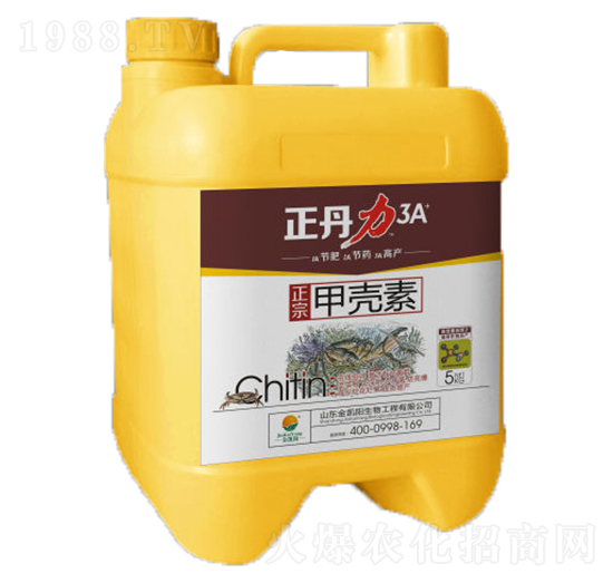 �ך���-������-���P�(y��ng)