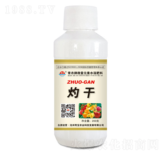 200���Ƹ�-���r�挚