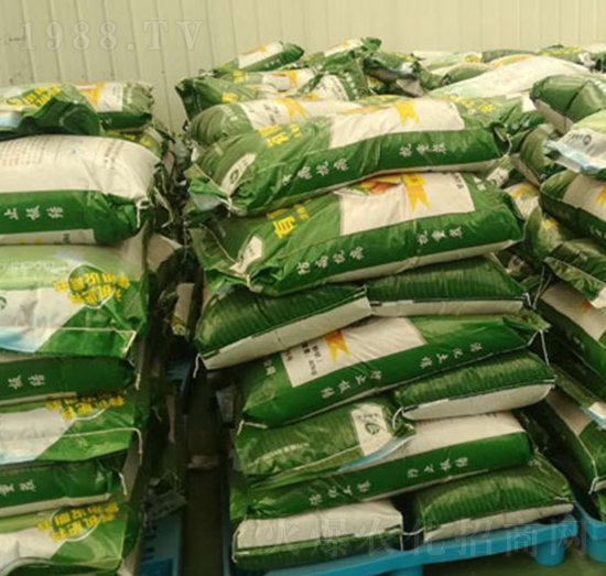 �̑B(t��i)�ЙC��-�B(y��ng)�����B(t��i)