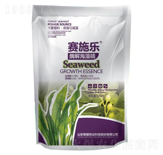 ø�⺣�徫-ِʩ��-�sҫ�r�I(y��)