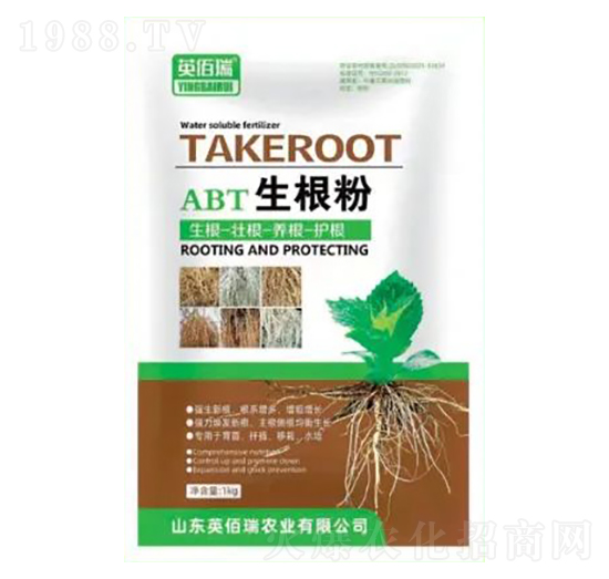 ������-Ӣ����-�sҫ�r(n��ng)�I(y��)