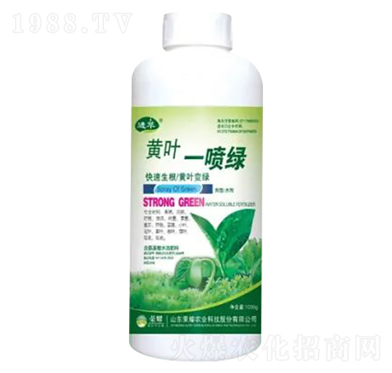 1000g�S�~һ���G-�sҫ�r(n��ng)�I(y��)