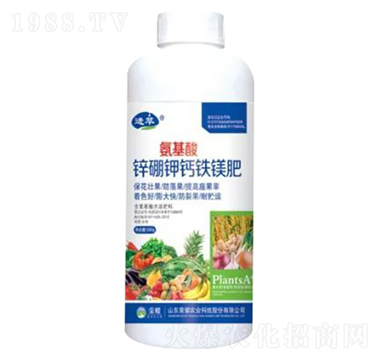 1000g�������\����}�F�V��-�sҫ�r(n��ng)�I(y��)