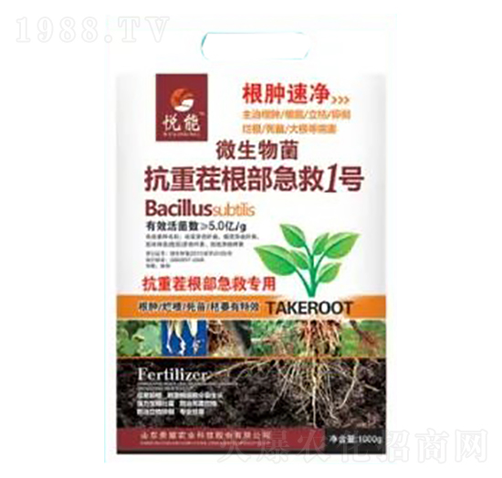 ���ز��������1̖(h��o)-���[�ك�-�sҫ�r(n��ng)�I(y��)